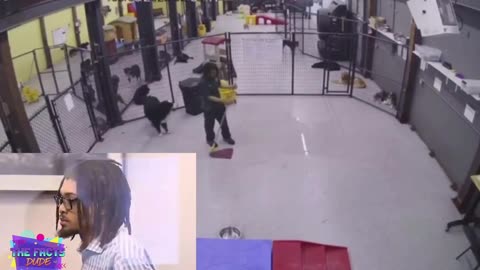 Kennel worker charged with animal cruelty . RIP Doggy