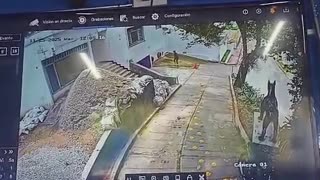 Ladrones se roban moto frente a negocio en Bucaramanga