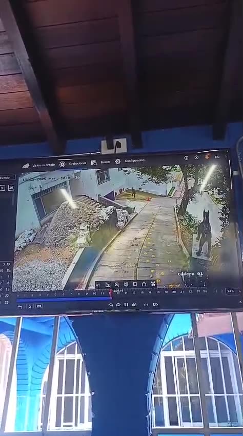 Ladrones se roban moto frente a negocio en Bucaramanga