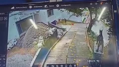 Ladrones se roban moto frente a negocio en Bucaramanga