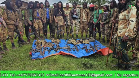 Gabaasa Tarkaanfii ONM-ABO Sadaasa 11-2025 itti dhiyaadhaa!