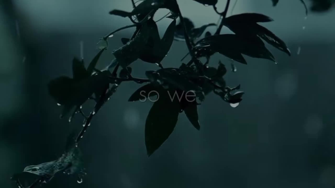 🙏🌟 Today's Prayer | Strength & Guidance | InGodWeTrustDaily