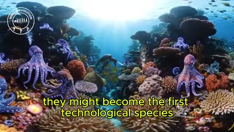 What if Octopuses Developed Complex Language and Technology