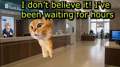 When a Cat Hates standing in line at the bank (Ep.80)