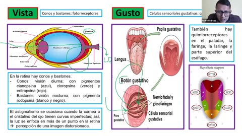 ADC SEMIANUAL 2023 | Semana 13 | Biología S2