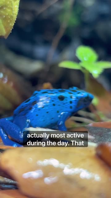 5 Reasons They’re The Best!