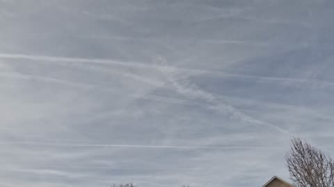 Wipeout - Myrtle Beach Sky Watch 1/11/26 Pt1