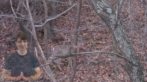 Whitetail Deer Hunting Videos