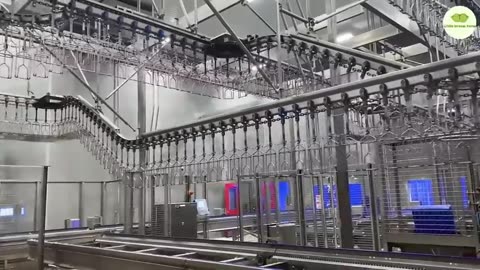 "Revolutionizing the Poultry Industry: Inside the Chicken Mega Factory & Egg Incubation Technology!"