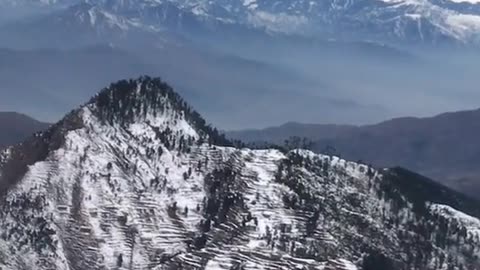 Daily Horoscope | Capricorn 🌟