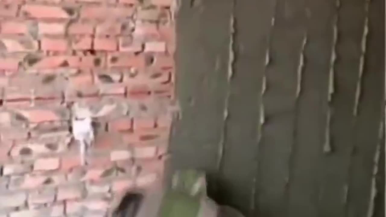 Just when you thought your TRADES were safe .........