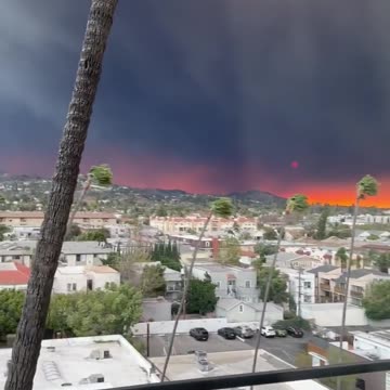 California - Los Angeles