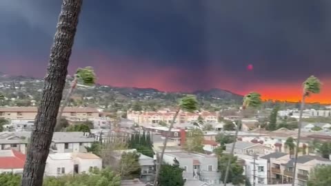 California - Los Angeles