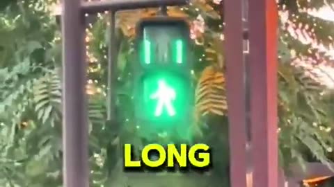 Things in Japan That Need to Exist Everywhere 🇯🇵✨