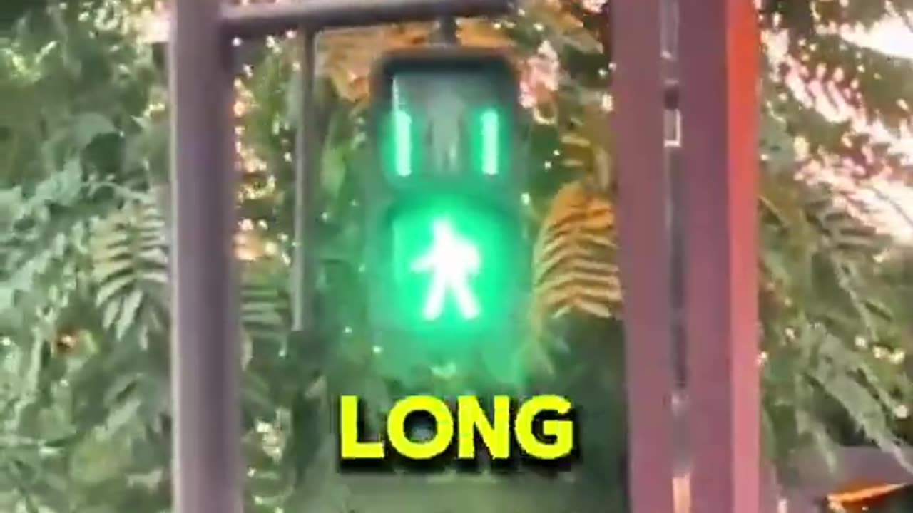 Things in Japan That Need to Exist Everywhere 🇯🇵✨