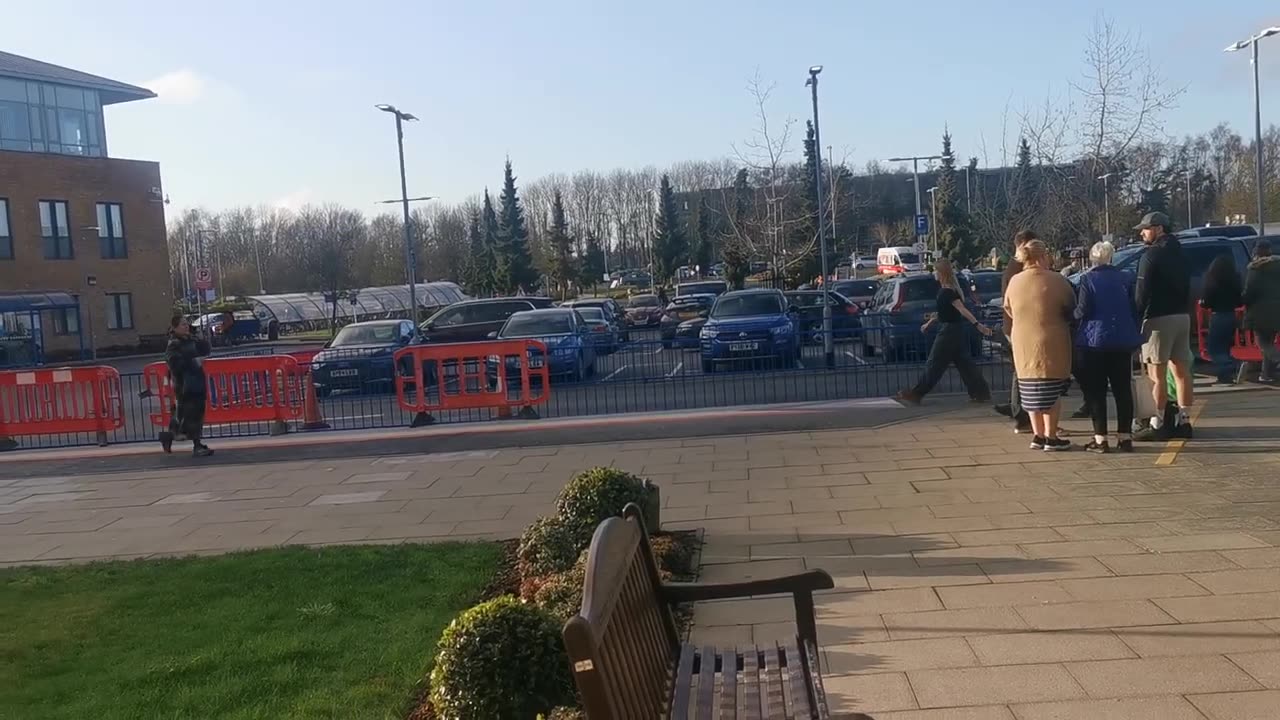 Plenty of Old Crows Lying Shape Shifting Spirits