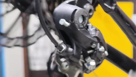 Bicycle rear derailleur adjustment screws