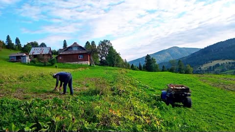 Autumn in the Carpathians: Pumpkins from the Garden and Village Chores.