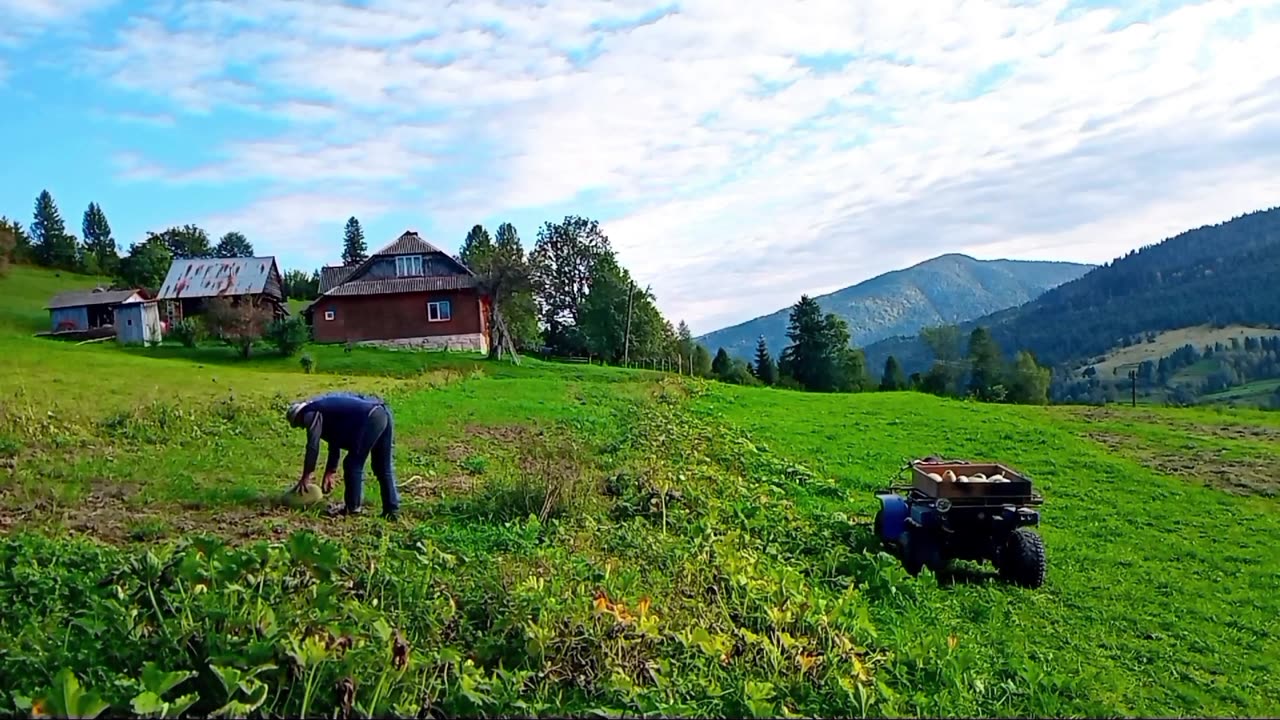 Autumn in the Carpathians: Pumpkins from the Garden and Village Chores.