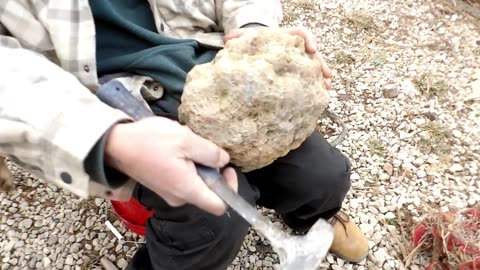 Giant Goedes!! What's Inside??