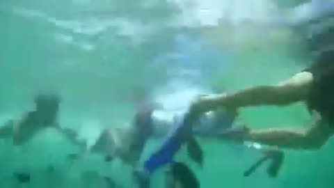 Diving in Aceh’s Underwater Paradise | A Hidden Gem of Indonesia