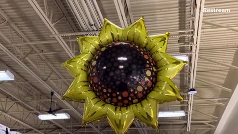 ShopRite Balloons