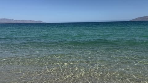 Elixir de Bienestar Tradicional y Herbal Explorado ES