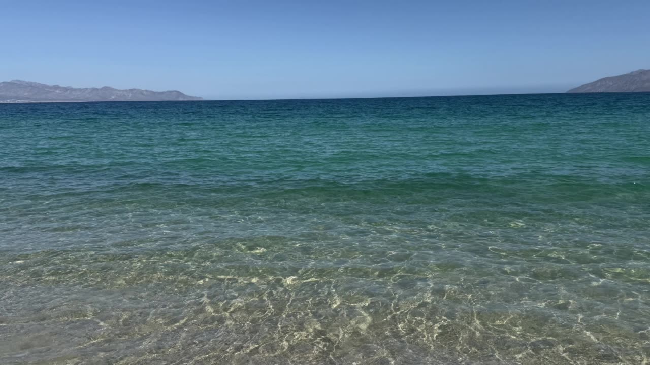 Elixir de Bienestar Tradicional y Herbal Explorado ES