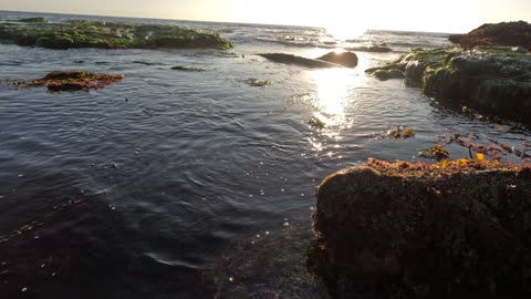 WALK to BIG ROCK Neptune St Windansea La Jolla #waves #reef #adventure