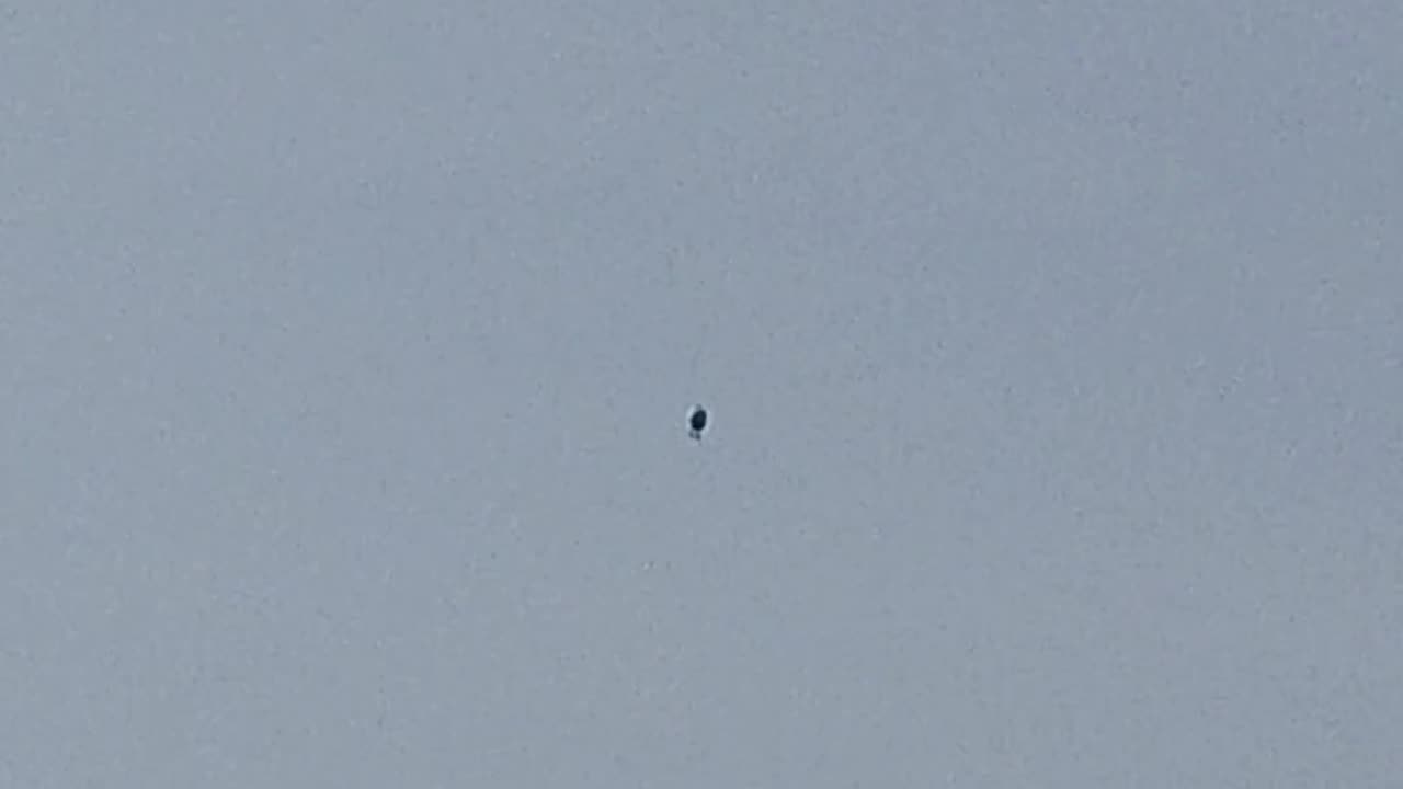 🛸🌳 UAP Sighting in Toronto Park? Witness Describes Bizarre Object! | TheTruthAbove