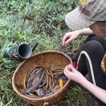 Unbelievable Oil Fishing Technique To Catch Giant Eel Fish