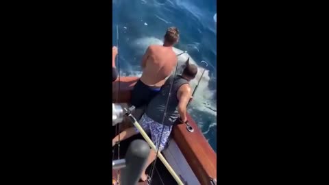 Rare footage captures the Black Seadevil - Great White Half Eaten