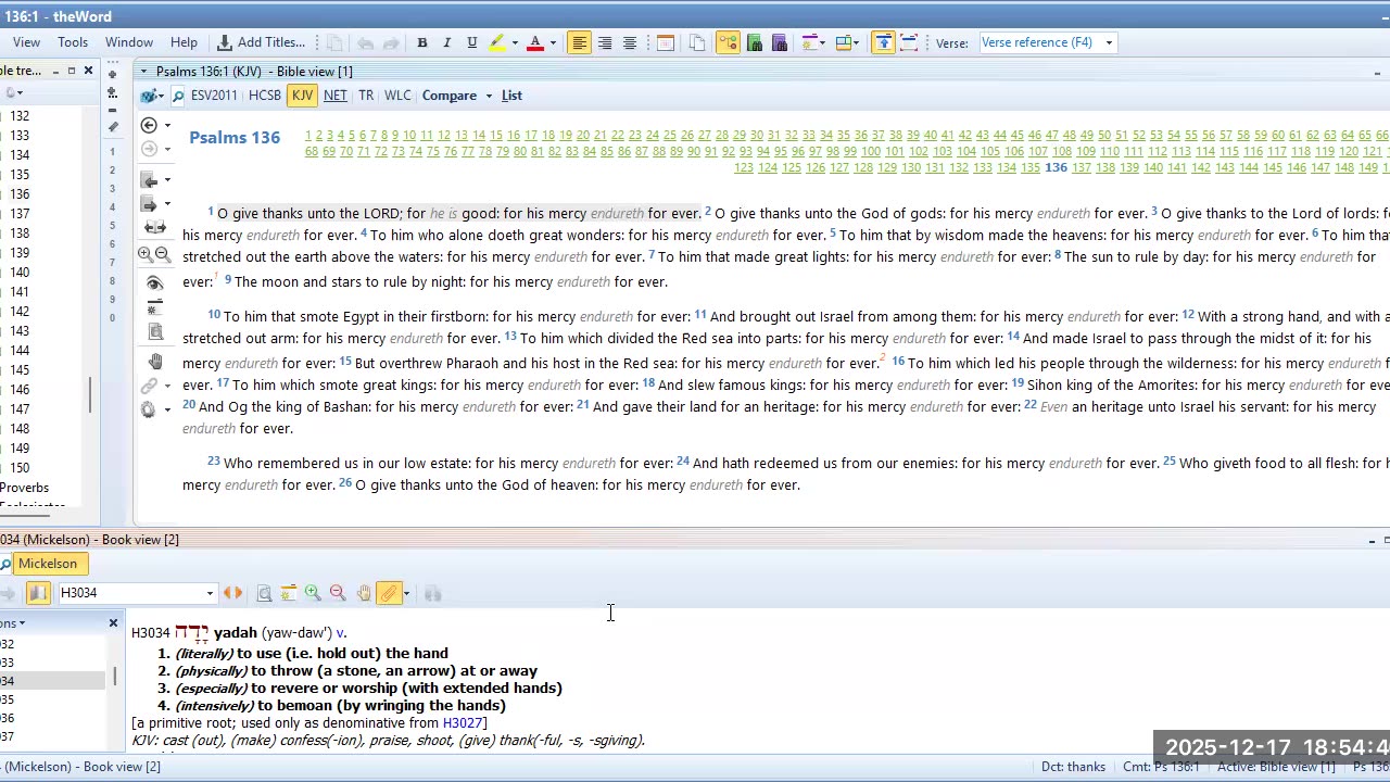 Bible Study Psalms 136