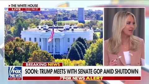 Harris Faulkner: Democrats are fighting THEMSELVES