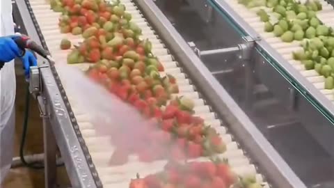China spraying food