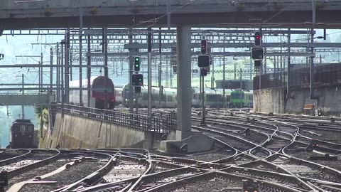 🇨🇭Трафик железнодорожных станций Швейцарии...🚂