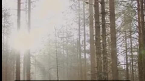 Daily Horoscope | Taurus 🌟