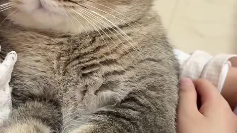 Me and my silly cat