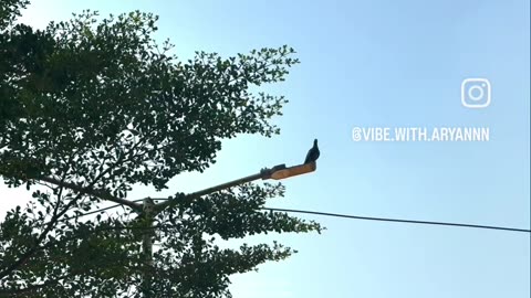 Tumha koi aur dekha to jalta ha dil....❤️‍🩹💖