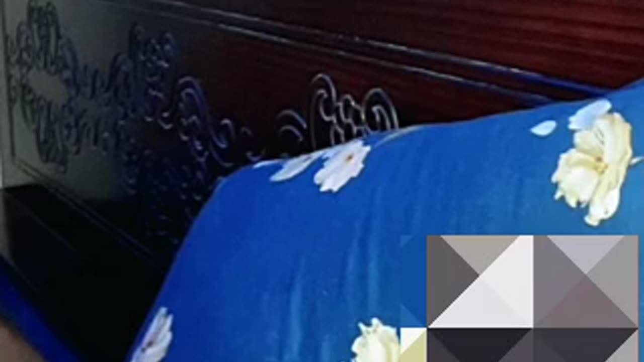 Anisha nur ka tango private video call service