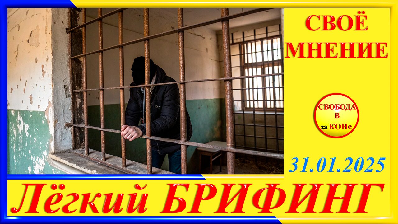 СВОЁ МНЕНИЕ- Легкий БРИФИНГ