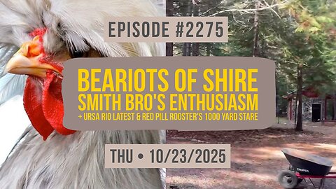 Owen Benjamin | #2275 Beariots Of Shire - Smith Bro's Enthusiasm + Ursa Rio Latest & Red Pill Rooster's 1000 Yard Stare