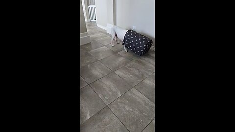 Lucy, "Lucy Being Lucy"