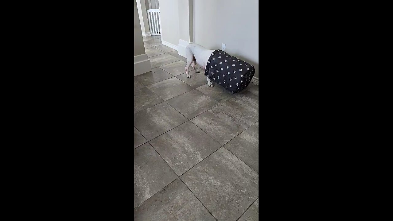 Lucy, "Lucy Being Lucy"