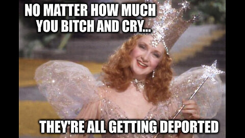 11226 Terry's Political TRIGGER WARNING!