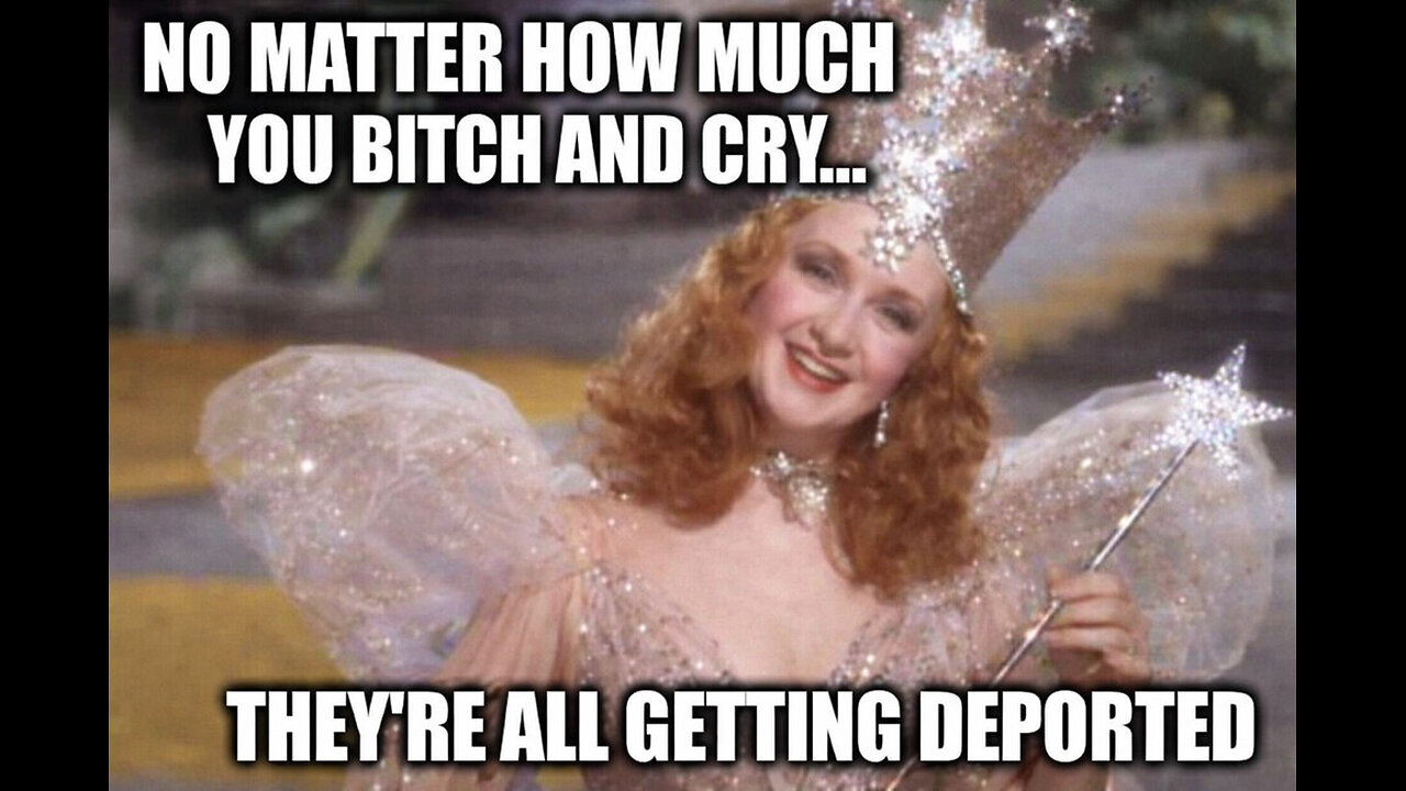 11226 Terry's Political TRIGGER WARNING!