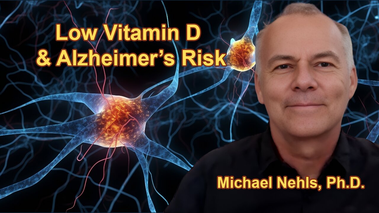 The Correlation Between Low Vitamin D Levels and an Increased Risk of Alzheimer's Disease