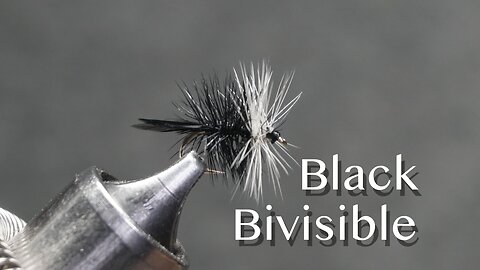Black Bivisible: an Ed Hewitt dry fly pattern