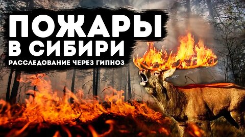 Пожары в Сибири. Расследование через гипноз!