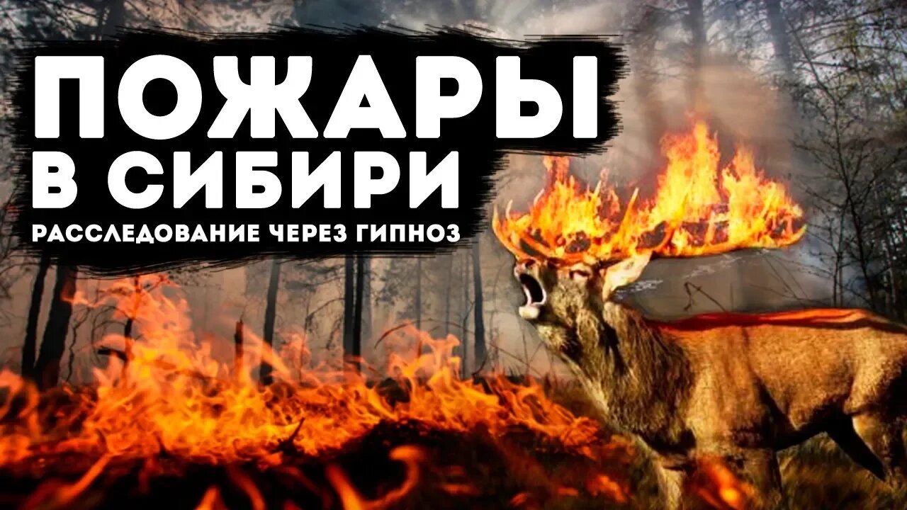 Пожары в Сибири. Расследование через гипноз!